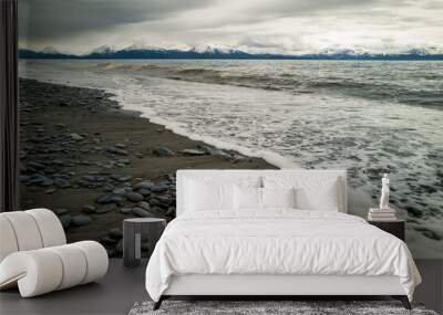 Beach at Homer,Alaska Wall mural