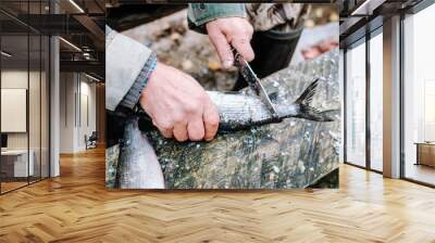 Fisherman cleaning fish on wooden board outdoors Wall mural