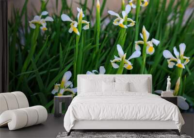 A bunch of white and yellow flowers with green stems Wall mural