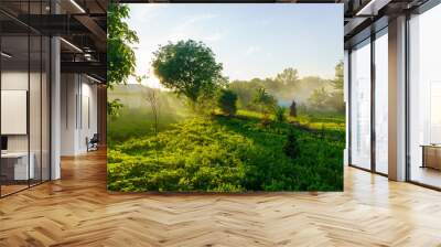 A lush green field with a house in the background Wall mural