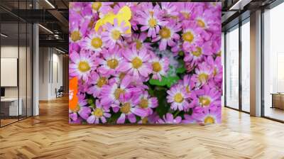 The first spring flowers in the snow are on sale. Background, selective focus Wall mural