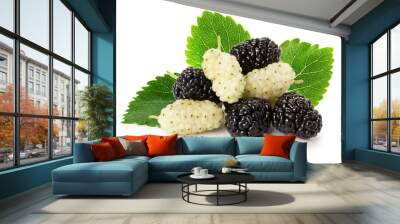 black and white mulberry isolated on the white background Wall mural