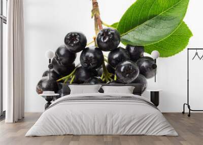 Branch of black chokeberry (Aronia melanocarpa) isolated on the Wall mural