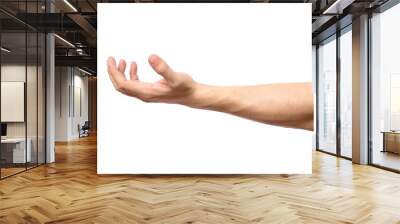 Man hand isolated. Hold, grab or catch Wall mural