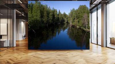 Russia Karelia landscape view on a sunny summer day Wall mural