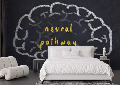 Drawind of human brain on chalkboard with inscription neural pathway Wall mural