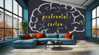 Drawind of human brain on chalkboard with inscription prefrontal cortex Wall mural