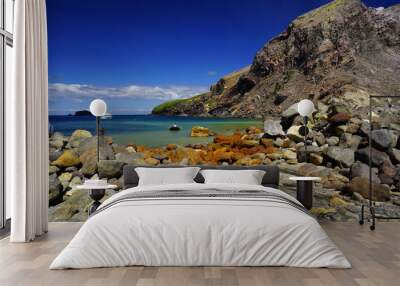 Beautiful active volcano in the ocean White Island in New Zealand Wall mural