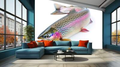 Beautiful raw whole rainbow trout isolated on white background close up
 Wall mural