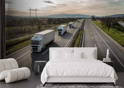 Caravan or convoy of trucks in line on a country highway Wall mural