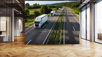 Convoy of Trucks with containers on highway, cargo transportation concept in springtime - freight service Wall mural