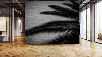 feather background Wall mural