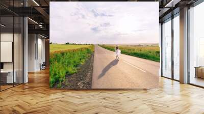 girl in stylish clothes posing on the road. blue sky and red pop Wall mural