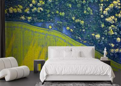 Aerial drone top view of yellow blooming field Wall mural