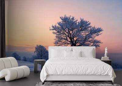 Amazing winter landscape with a lonely snowy tree on a mountains valley. Pink sunrise sky glowing on background. Landscape photography Wall mural