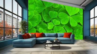 background from green clover leaf Wall mural