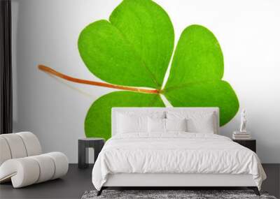 clover Wall mural