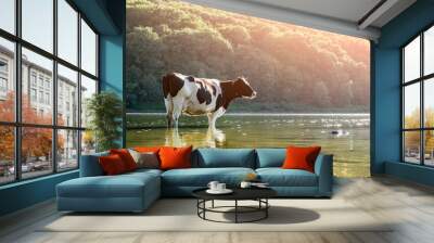 Cow watering in the river Wall mural