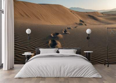 desert Wall mural