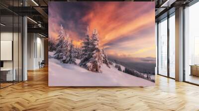 Dramatic wintry scene with snowy trees. Wall mural