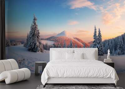 Fantastic winter landscape in snowy mountains glowing by morning sunlight. Dramatic wintry scene with frozen snowy trees at sunrise. Christmas holiday background Wall mural