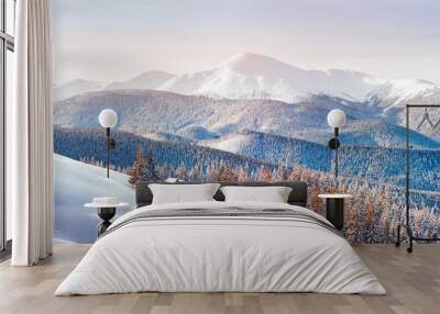 Fantastic winter landscape with snowy trees. Carpathian mountains, Ukraine, Europe. Christmas holiday concept Wall mural