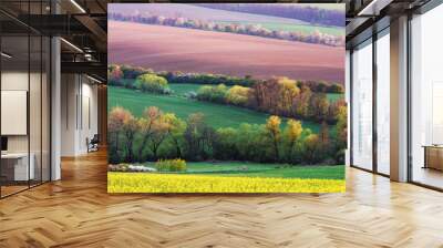 Picturesque rural landscape with green agricultural field and trees on spring hills. South Moravia region, Czech Republic Wall mural