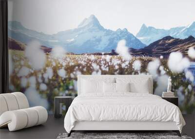 Picturesque sunrise on the top of Grossglockner pass, Swiss Alps mountains. Landscape photography Wall mural