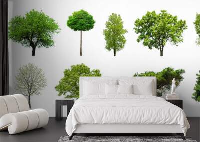 set of green trees isolated on white background. different kinds of tree collection Wall mural