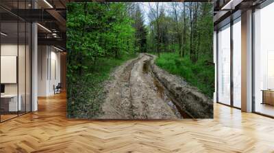 Abandoned Forest Path Wall mural