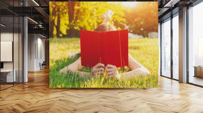 girl reading book lying in warm summer grass Wall mural