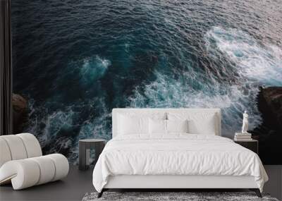 Aerial view to ocean waves and rock coast Wall mural