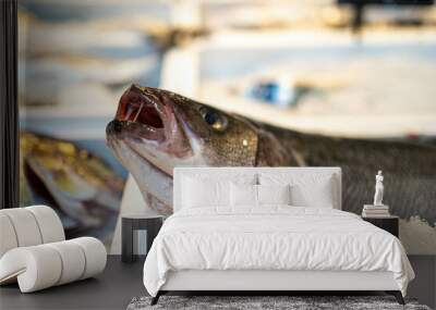 Side view of a fresh blue fish on ice. Great for culinary, seafood markets, or fishing content. Wall mural