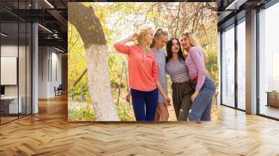 Summer autumn vacation, holidays, travel and people concept - group of young women in the park Wall mural