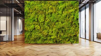 Texture of green decorative moss. Natural moss for interior design. Wall mural