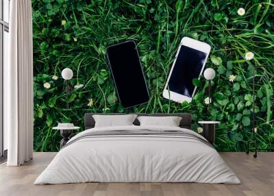 top view two phones with different screen size and lie on the green grass Wall mural