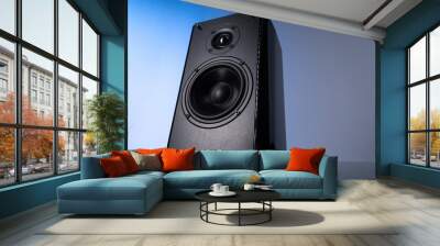 large speaker with two speakers on a gray-blue background close-up Wall mural