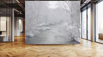 Winter river landscape. Snowy trees on river banks Wall mural