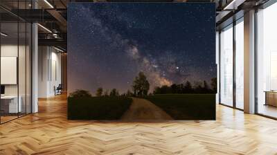 milky way shining above a forest in switzerland Wall mural