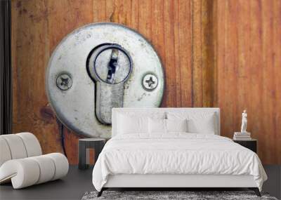 door lock, front door
 Wall mural