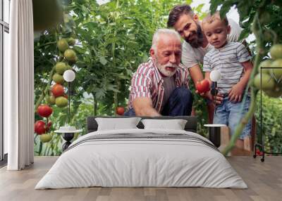 Family working together in greenhouse Wall mural