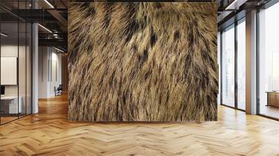 Boar fur texture, wildlife animal, close up Wall mural