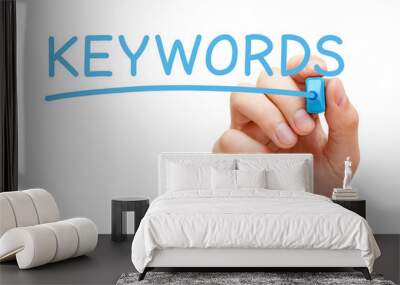 Hand Writing The Word Keywords With Blue Marker Wall mural