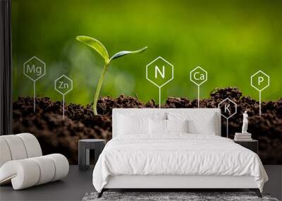 Representing soil chemistry with symbols of Nitrogen, Potassium, Phosphorus, Calcium, Magnesium and Zinc sticking out of the ground next to growing young plant Wall mural