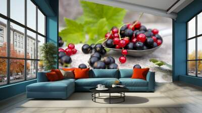 ripe black and red berry currants Wall mural