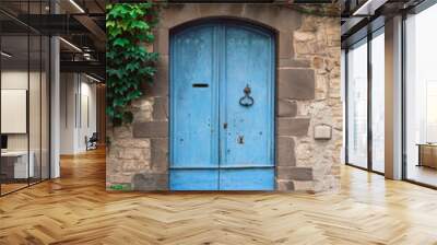 Blue wood door in a french village Wall mural