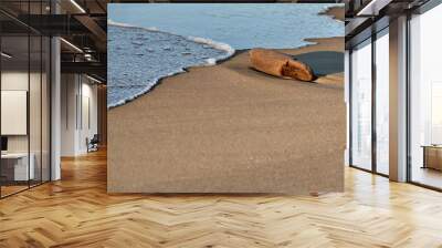 A piece of wood in the sand by the sea Wall mural