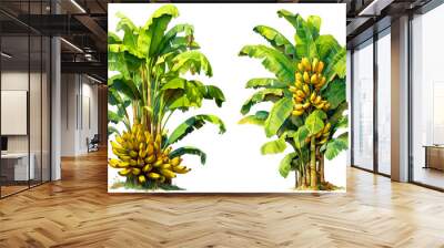 Watercolor banana tree isolated on white background. PNG transparent background. AI Generative. Wall mural