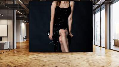 portrait of a beautiful woman in black dress Wall mural