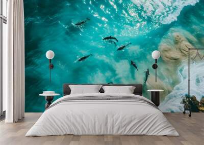 Aerial view Group of dolphins swimming in the ocean with crashing waves, symbolizing the beauty of marine life. Protect animals and the ocean environment. Background marine life Wall mural